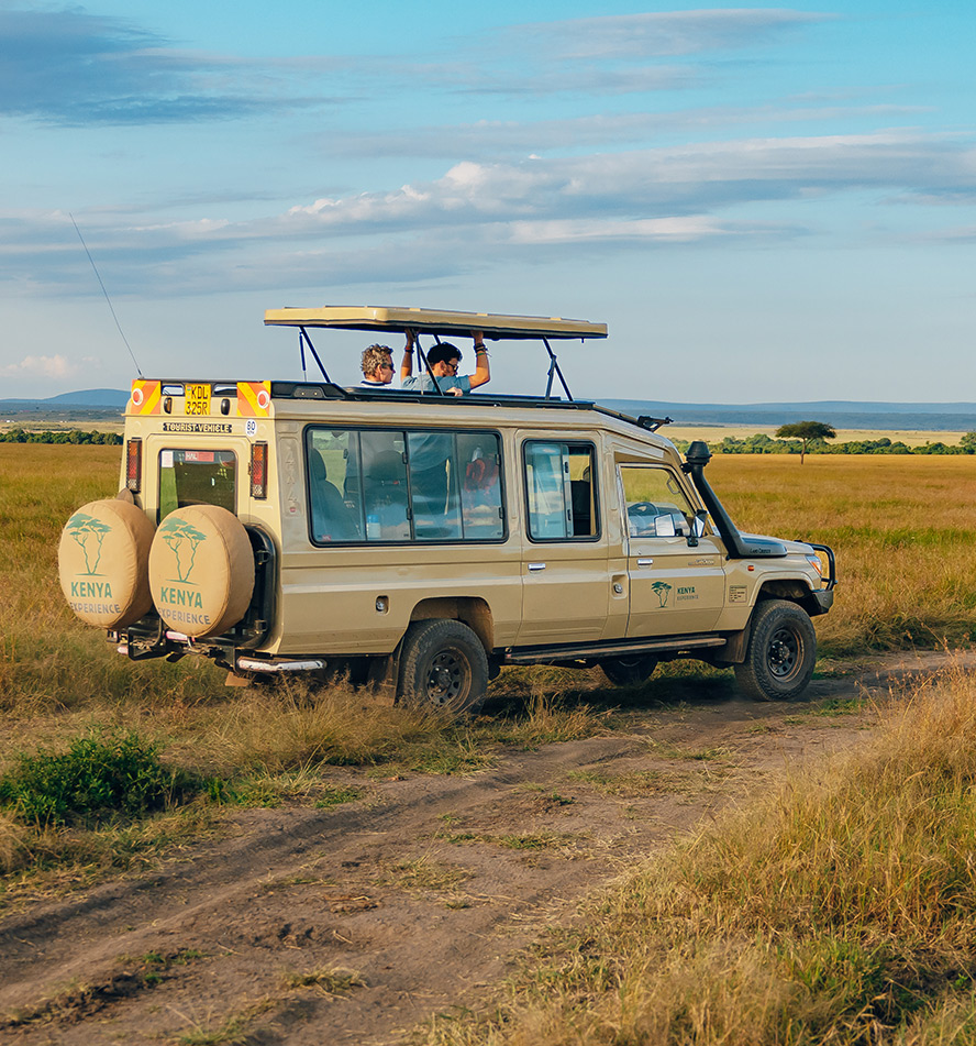 Private Safari