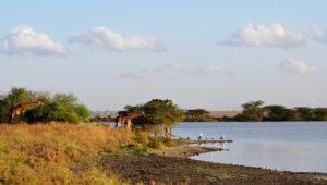 One of multiple dams in Nairobi National Park.