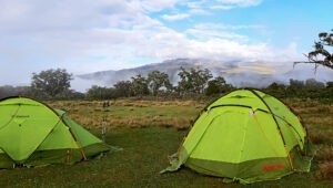 Two mountain tents at Chogoria Gate, the start of Mt Kenya trekking.