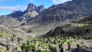 View of Mackinders Valley and the mountain panorama near Shiptons Camp on Mt Kenya.
