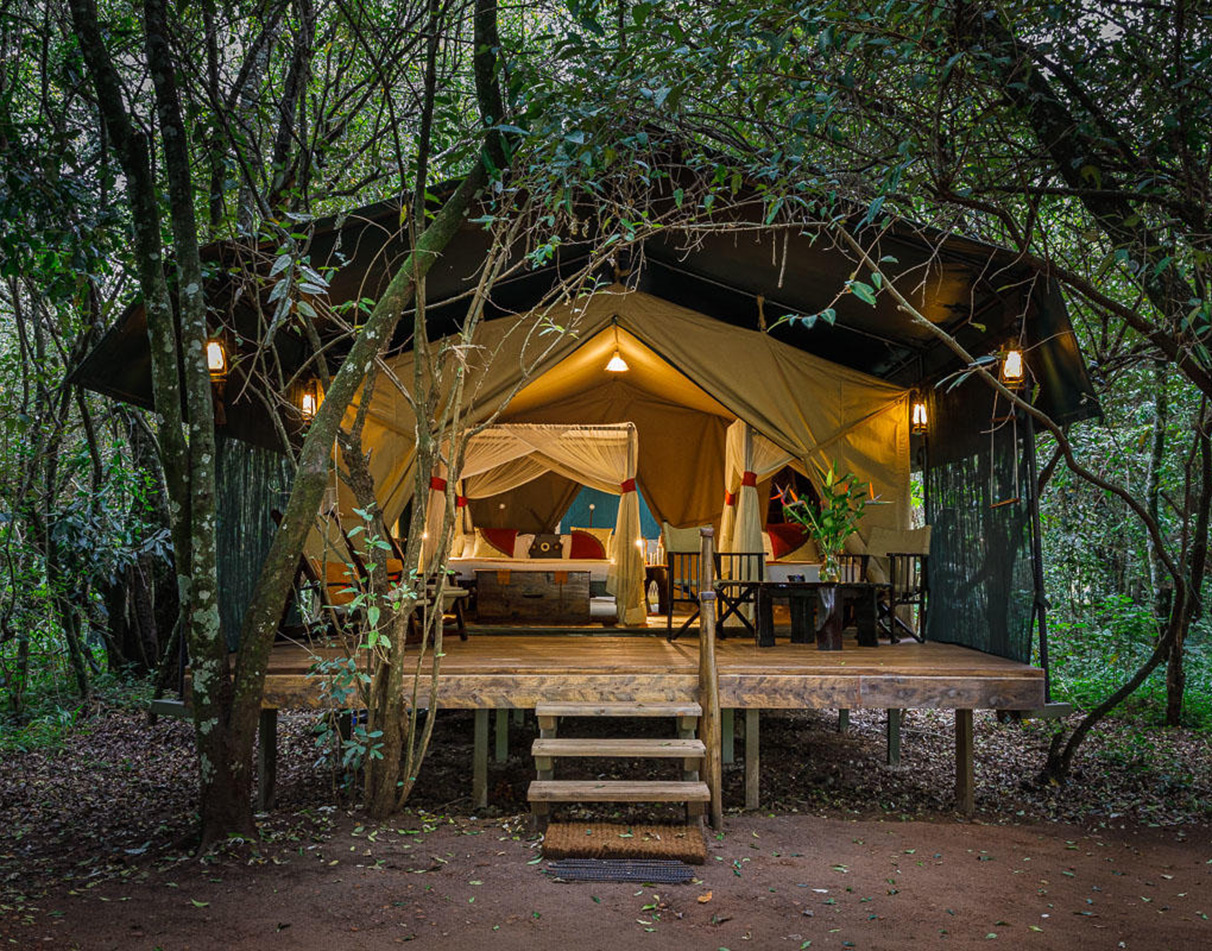 Guest tent seen from outside at Mara Bush Camp