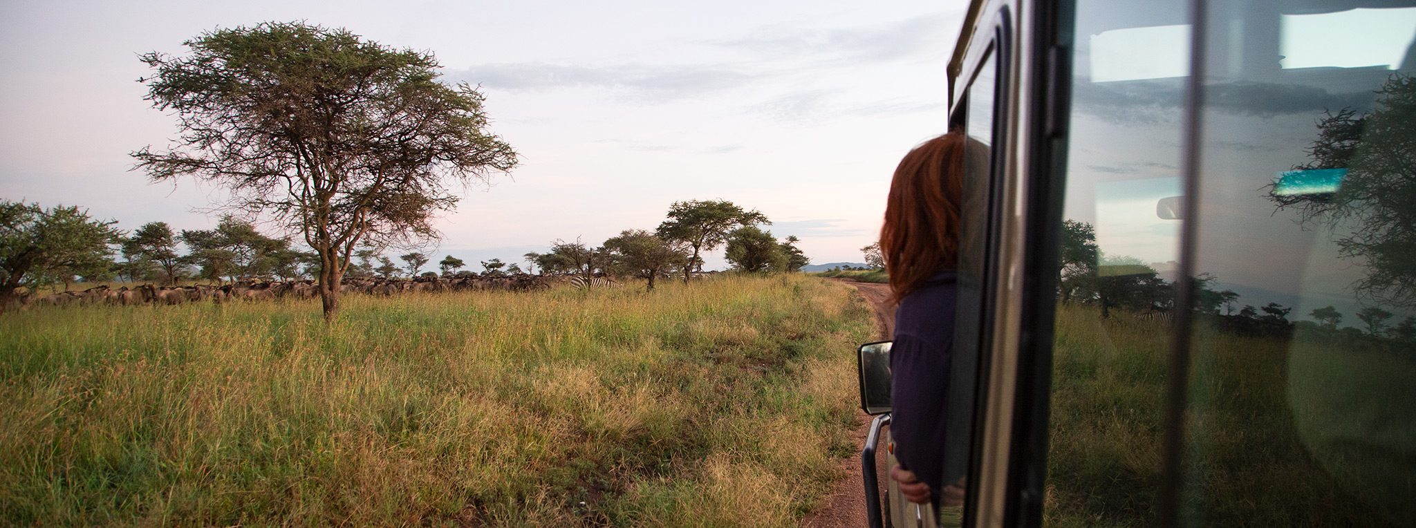 A traveller is looking outside the window of a safari vehicle on game drive. Getting travel advice for Kenya is essential to plan your journey.