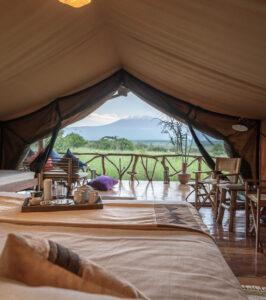 View of Kilimanjaro from guest room at Elerai Camp Amboseli.