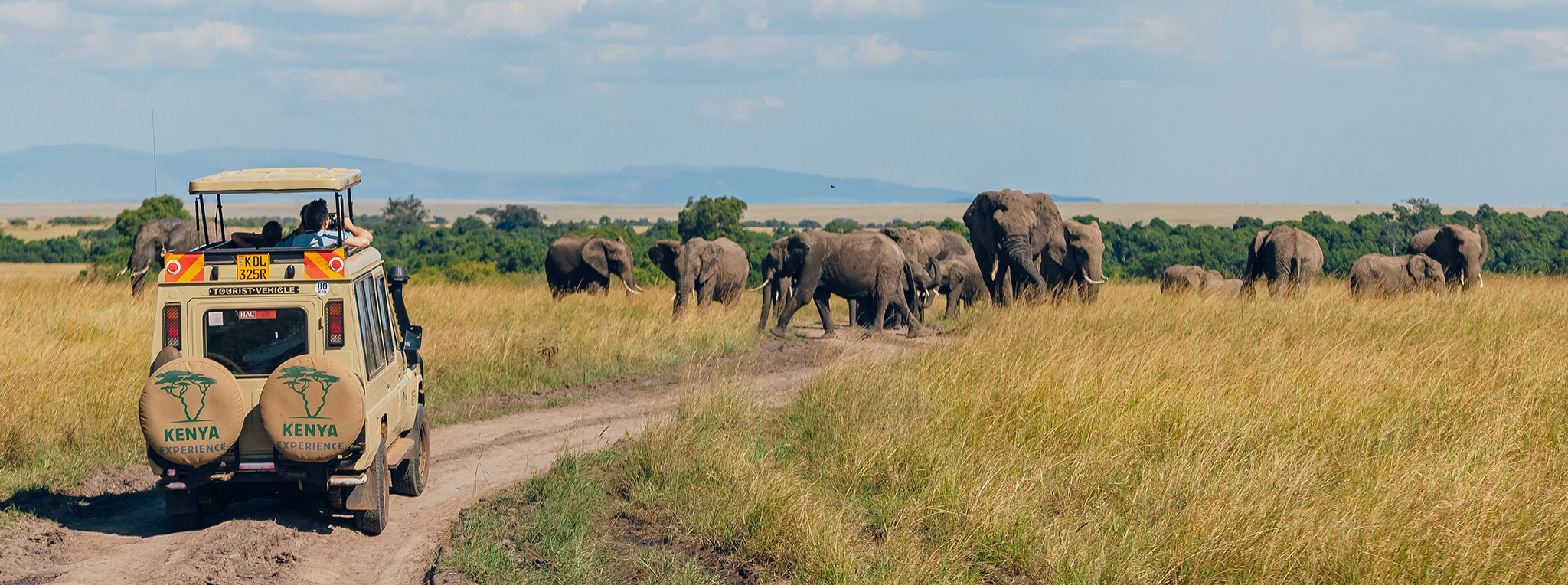 A game drive vehicle on Kenya safari tour, a herd of elephants crossing the road.