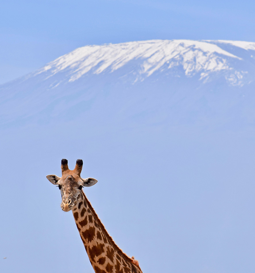 Amboseli National Park