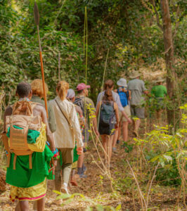 People on a forest walk organised by Kitich Camp in Mathews Range.