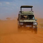 A private safari vehicle on a dusty road during the dry season