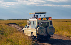 Safari vehicle for different kinds of safaris on game drive.