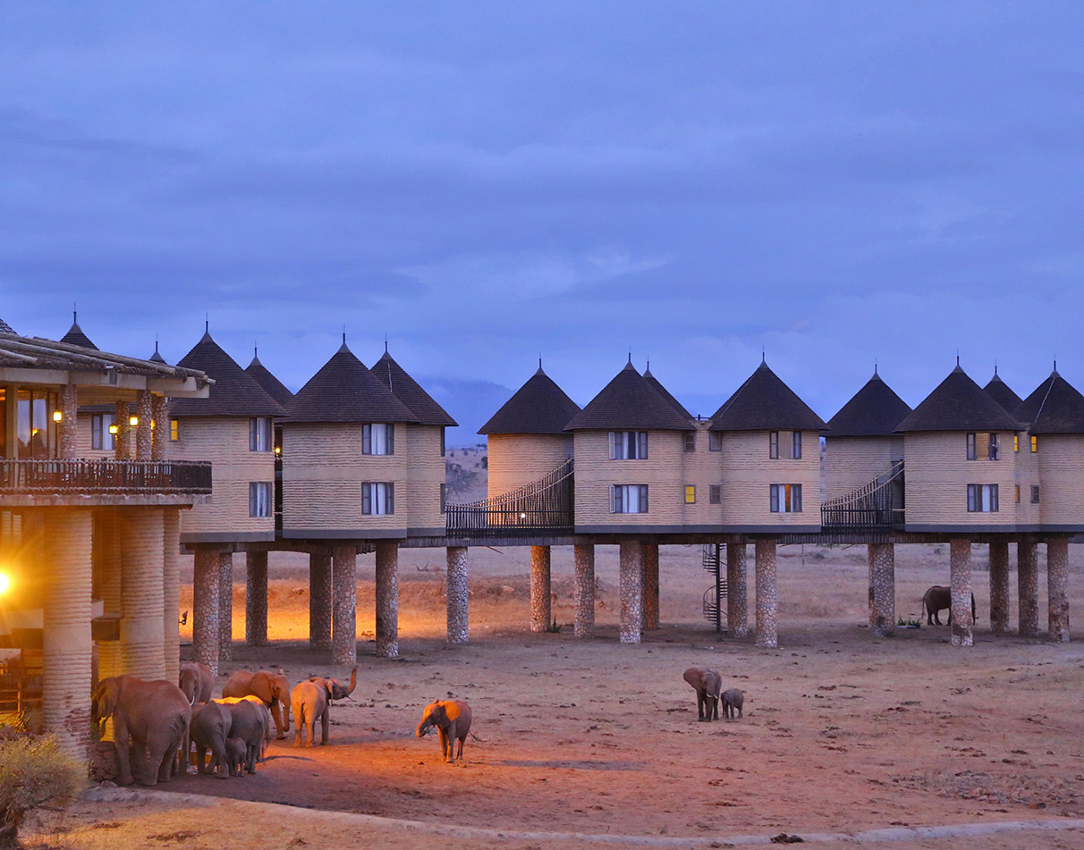 View of Saltlick Safari Lodge near Tsavo West at night with elephants around.