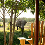 A chair on a veranda from which you can see an elephant on the other side of the river banks.