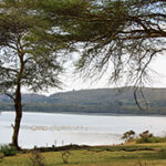 Views of the calm waters of Lake Naivasha.