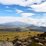 Views from up a hill with Lake Ellis in the far distance.