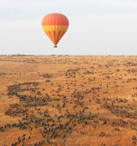 A hot air balloon floats above a large wildebeest heard during the Great Migration in the Masai Mara.