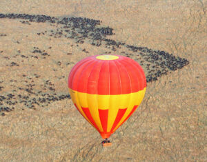 A hot air balloon floats across a herd of wildebeest in Kenya's Maasai Mara.