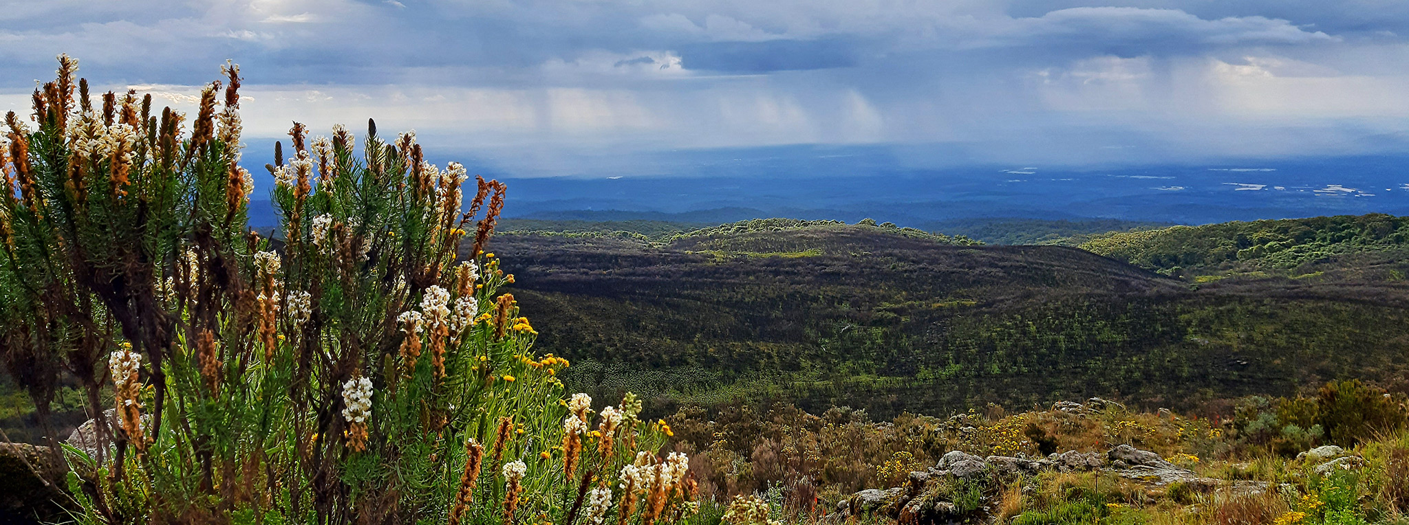 View of the surroundings of Mt Kenya a popular destination on Kenya trekking tours.