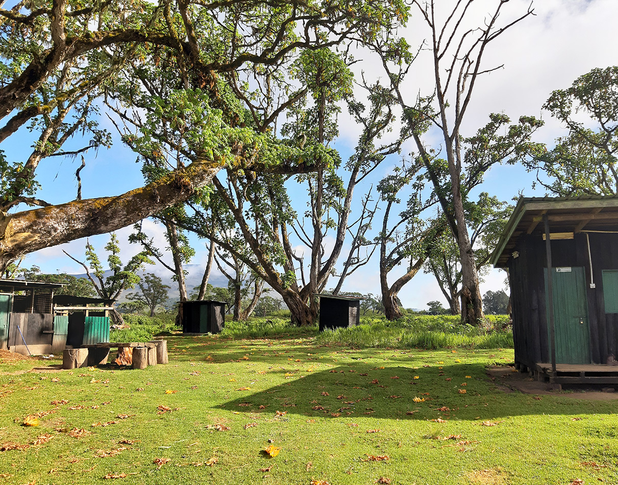 Basic toilets on Chogoria Campsite.