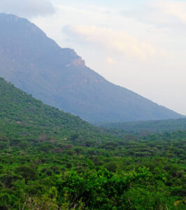 Steep forested hills in a remote corner of Tsavo West National Park.
