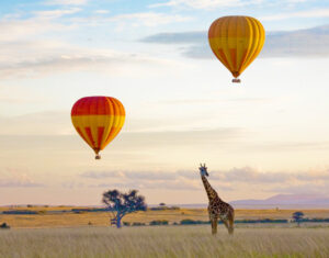 Two striped balloons float across the savanna while a giraffe looks on.