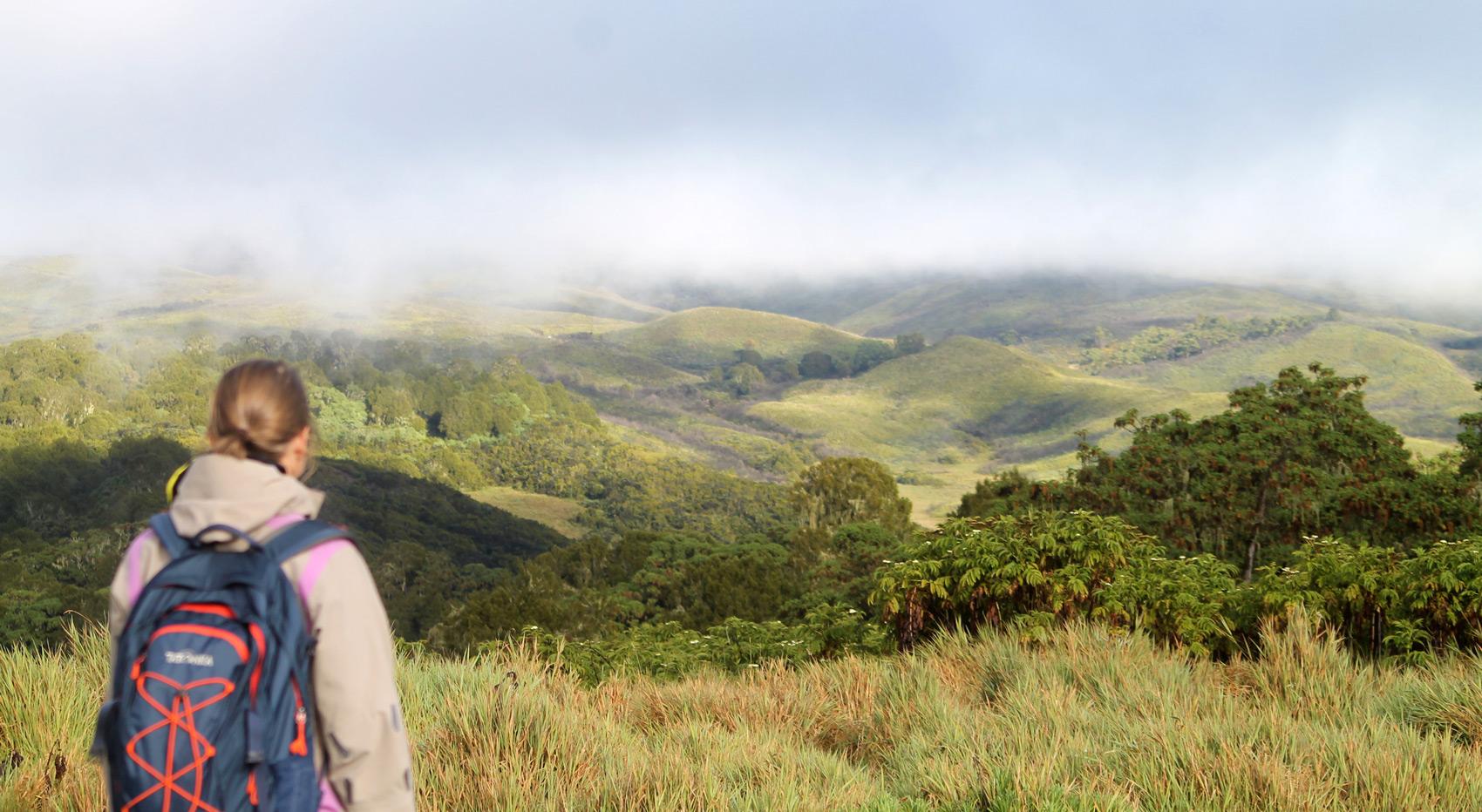 A hiker overlooking the rolling hills of Mt Kenya. A hiker overlooking the rolling hills of Mt Kenya.