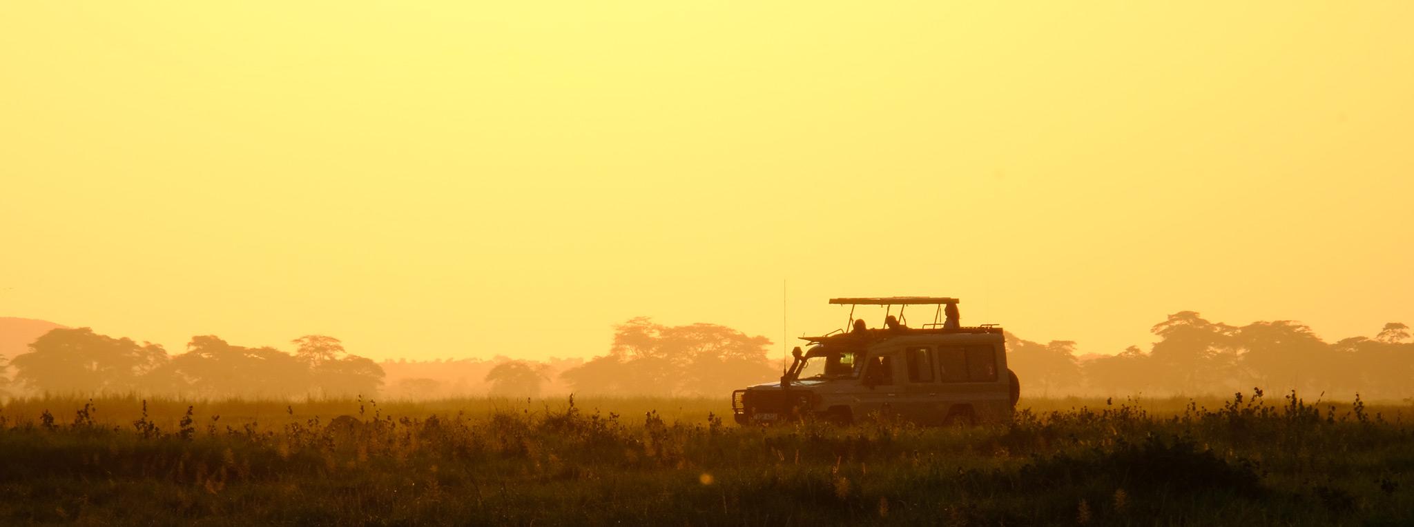 Vehicle in Amboseli at dusk.