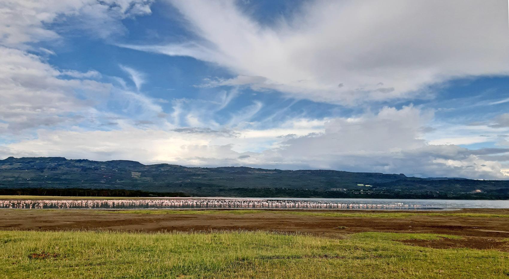 A photo of the shore of Lake Elementaita in Kenya with flamingos dotted around.