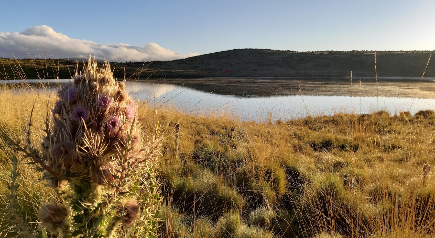 A landscape photo of Lake Ellis on Mt Kenya.