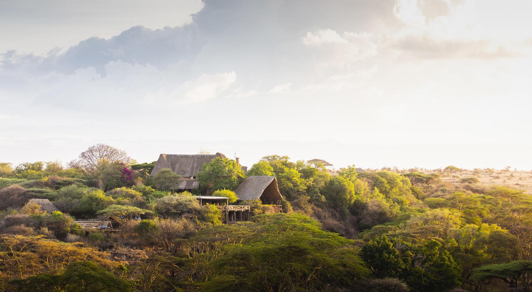 A photo of Lewa Wilderness Camp tucked away nicely amongst it's surroundings. A photo of Lewa Wilderness Camp tucked away nicely amongst it's surroundings.