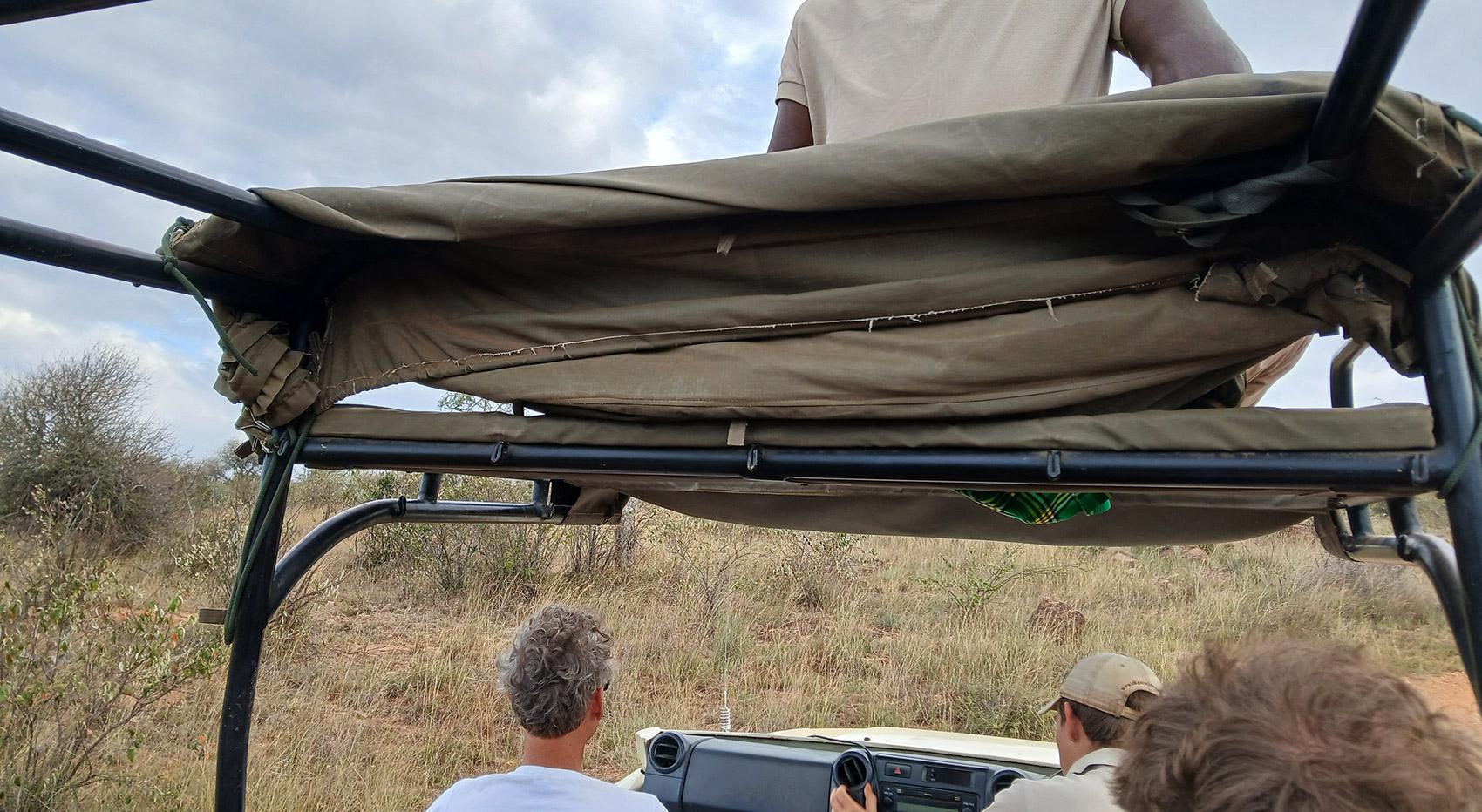 An open game viewer wiith a spottter on the roof, photographed from inside the vehicle. An open game viewer wiith a spottter on the roof, photographed from inside the vehicle.